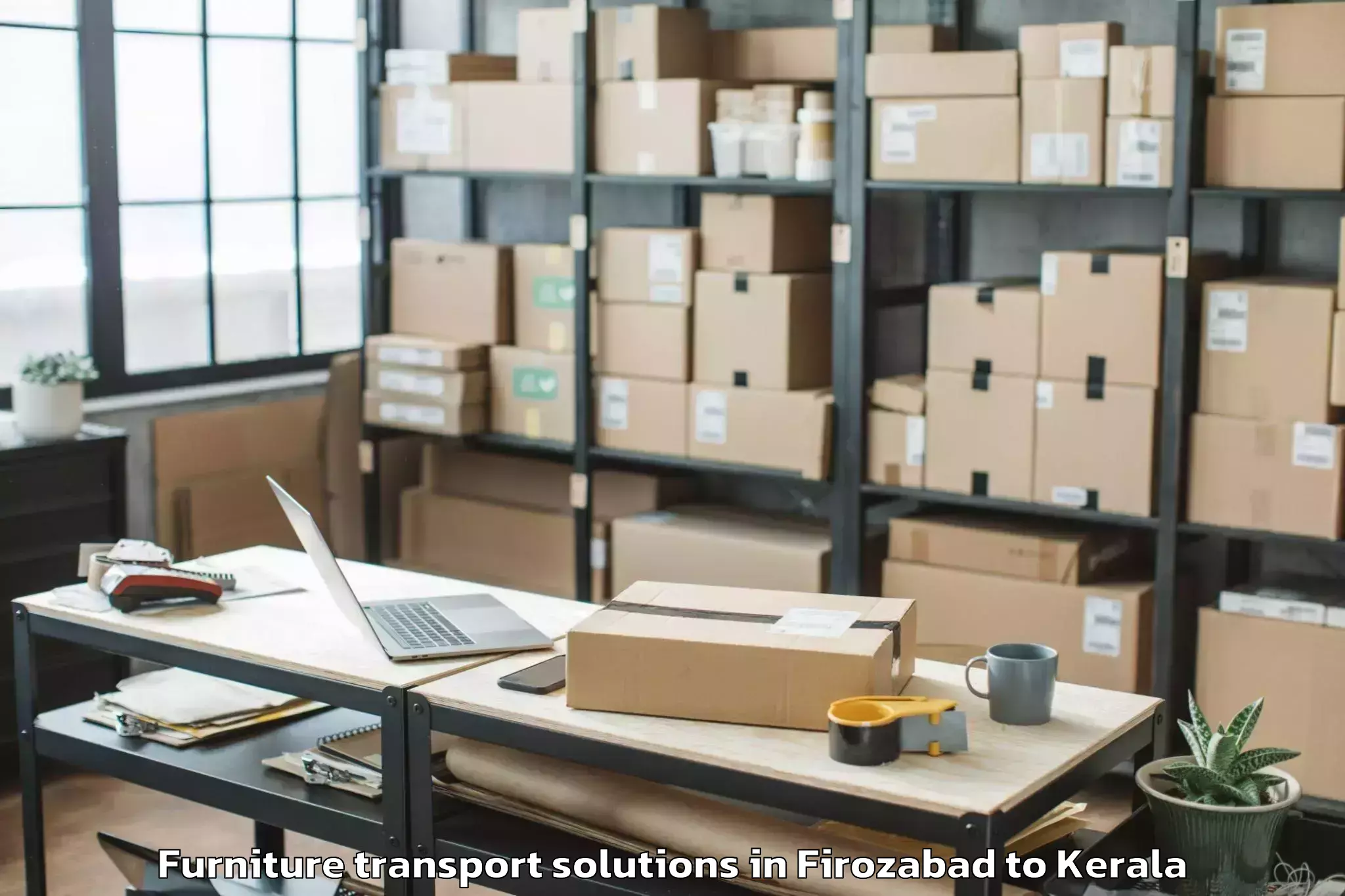 Easy Firozabad to Kadanad Furniture Transport Solutions Booking